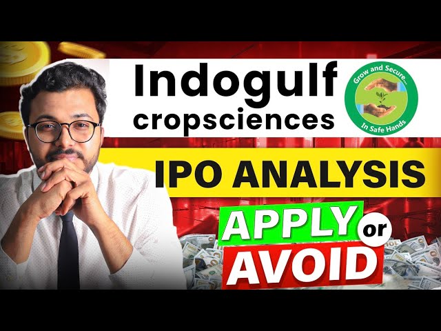 indogulf ipo